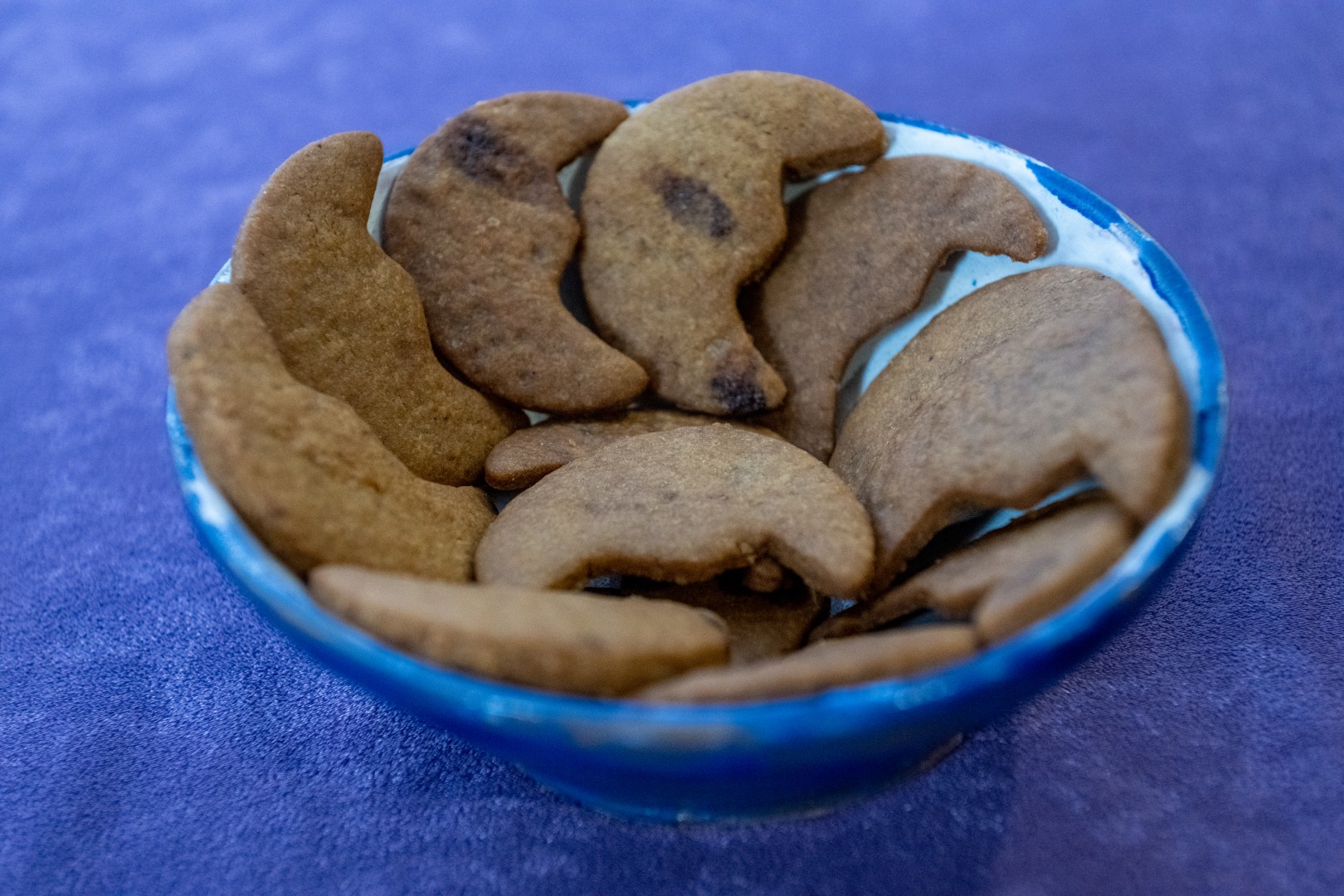 Speculoos